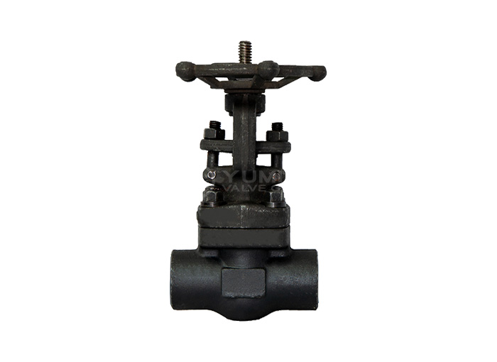 Forged Steel Gate Valve