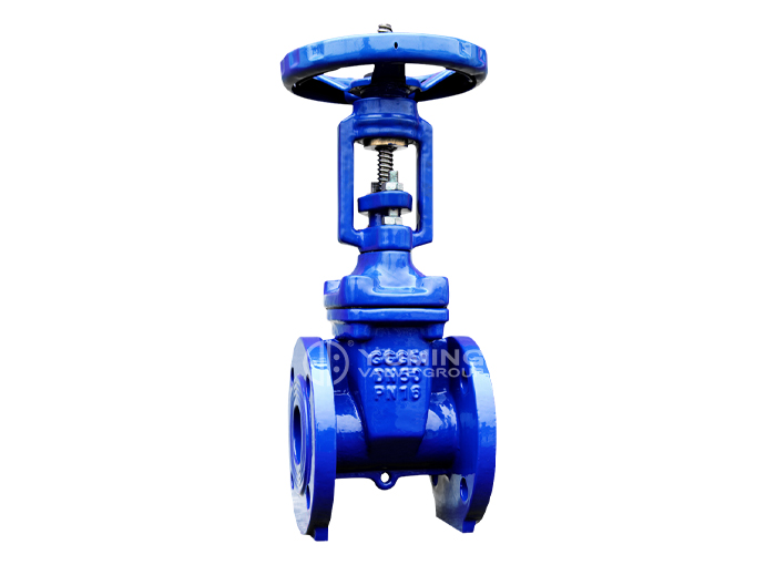 Soft Seal flange gate valve