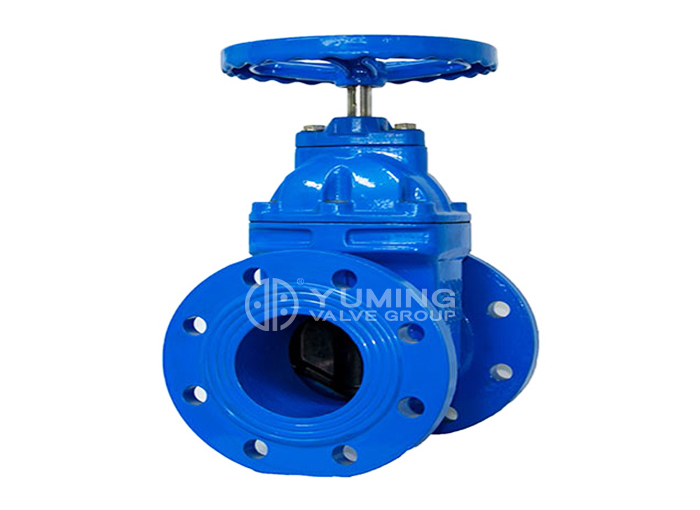 DIN 3352 F5 Resilient Seated Flanged Gate Valve