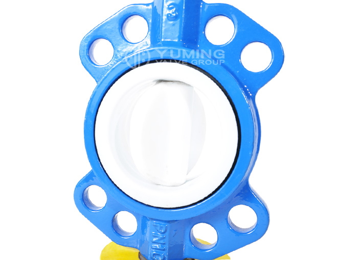 PTFE Wafer Butterfly Valve